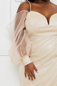 GLITTERED MESH SLEEVE PLUS SIZE MAXI DRESS