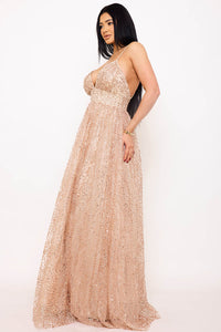 GLITTER AND SEQUIN ON MESH A-LINE MAXI DRESS